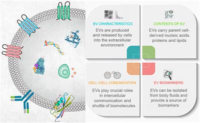 Editorial: Exosomes: Message in a vesicle